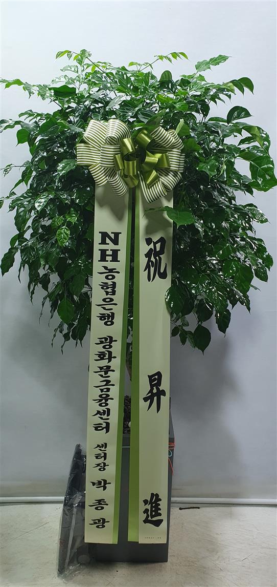 배송사진2