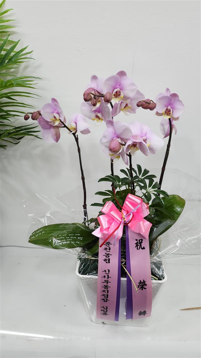 배송사진2