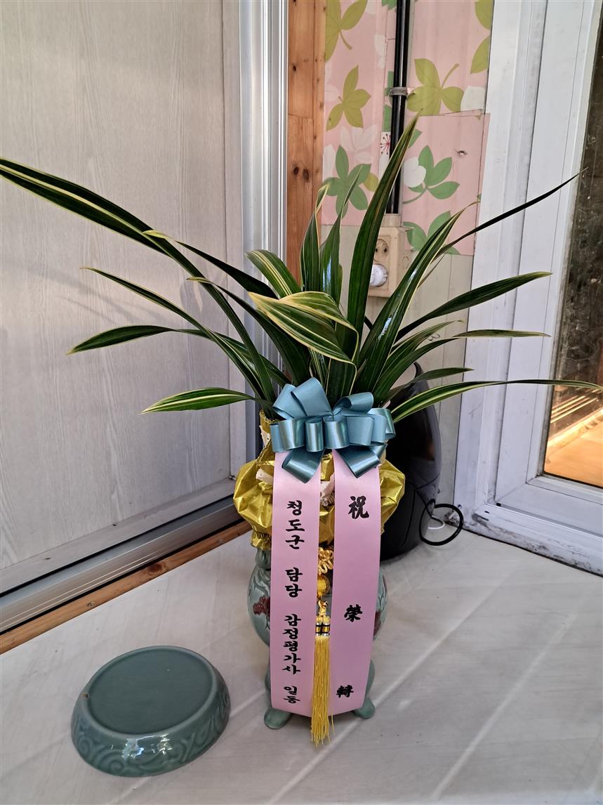 배송사진