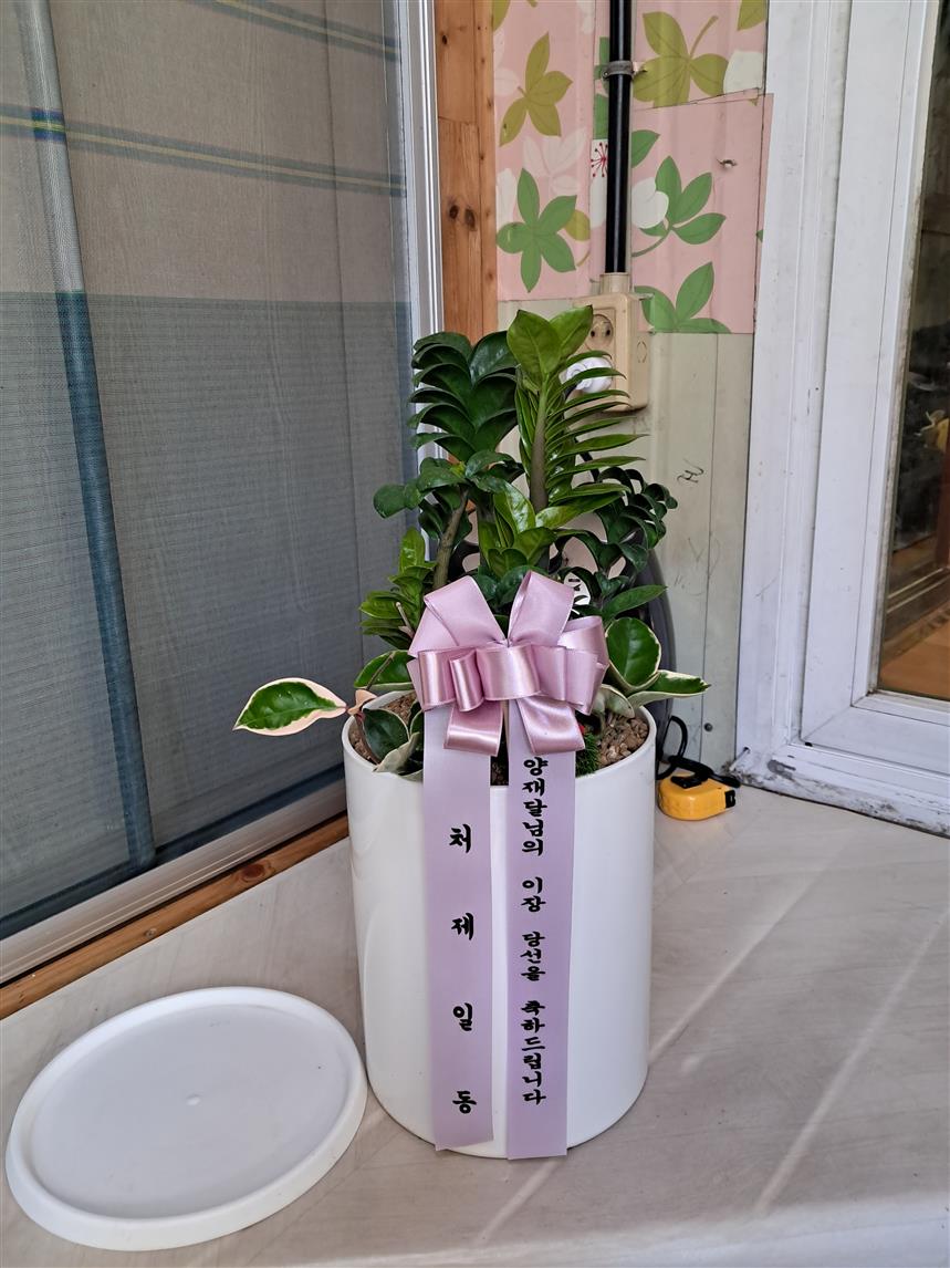 배송사진