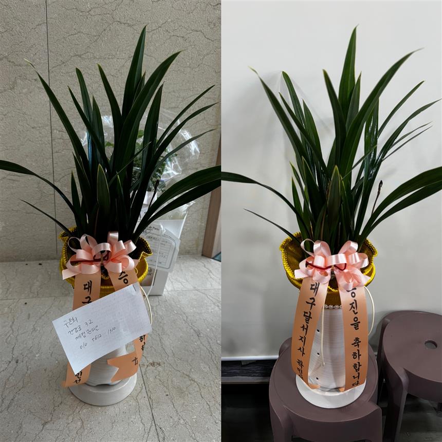 배송사진