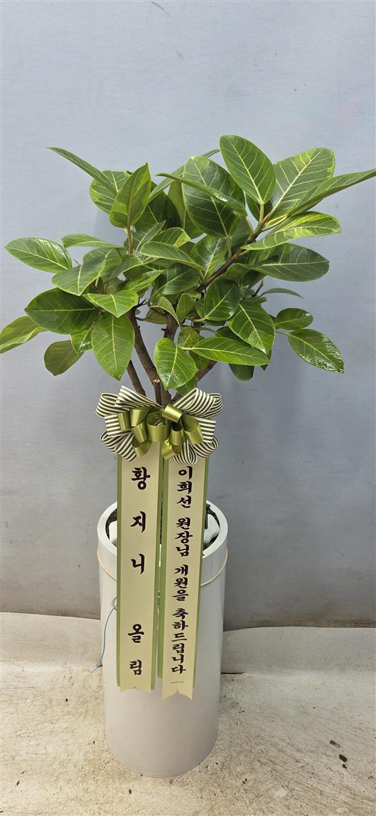 배송사진2