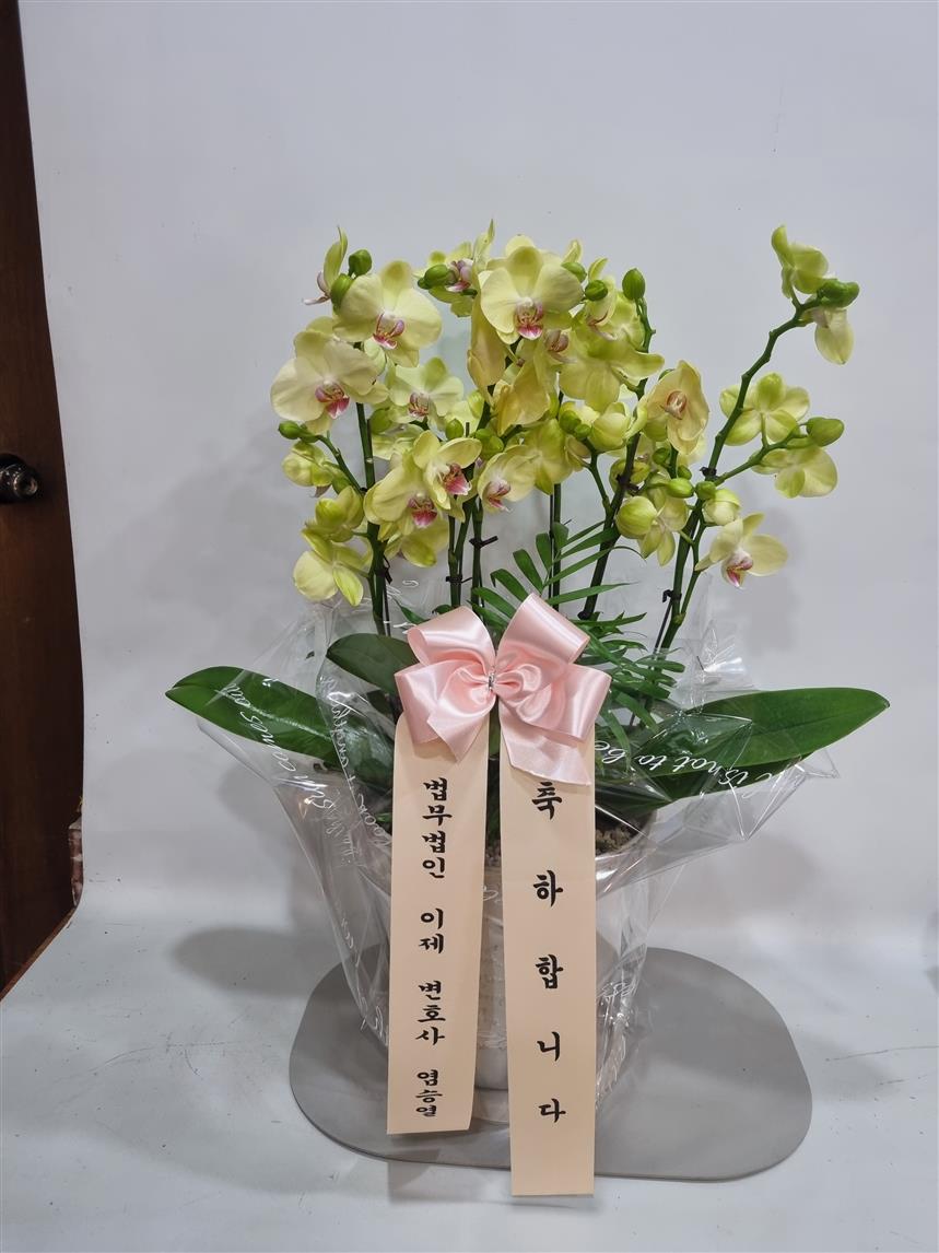 배송사진2