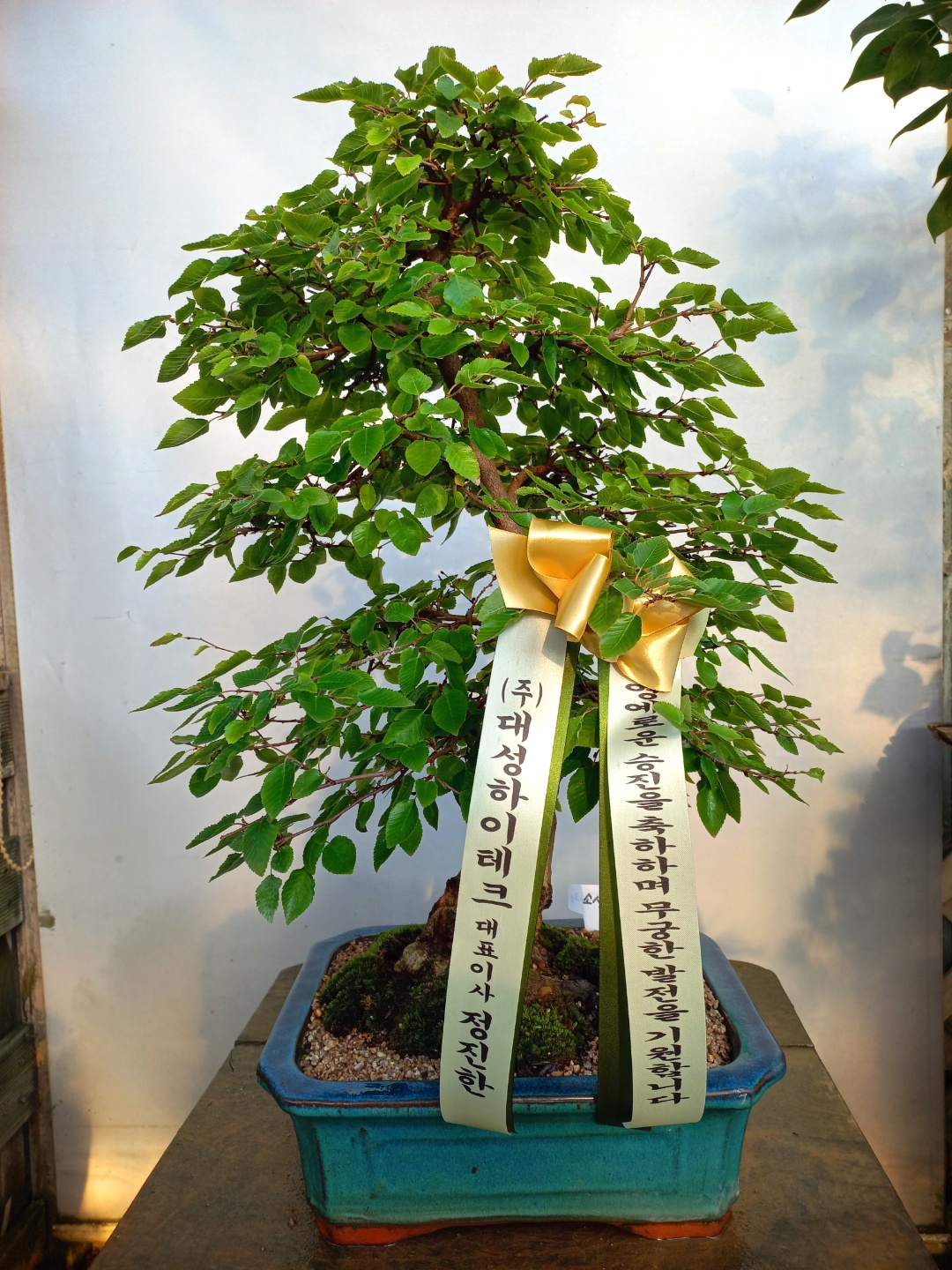 배송사진
