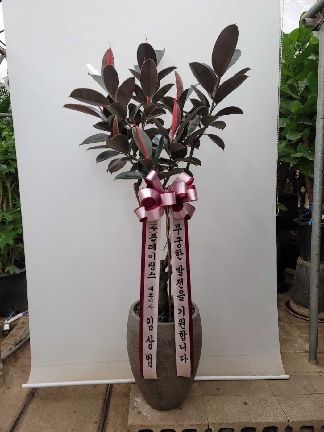 배송사진