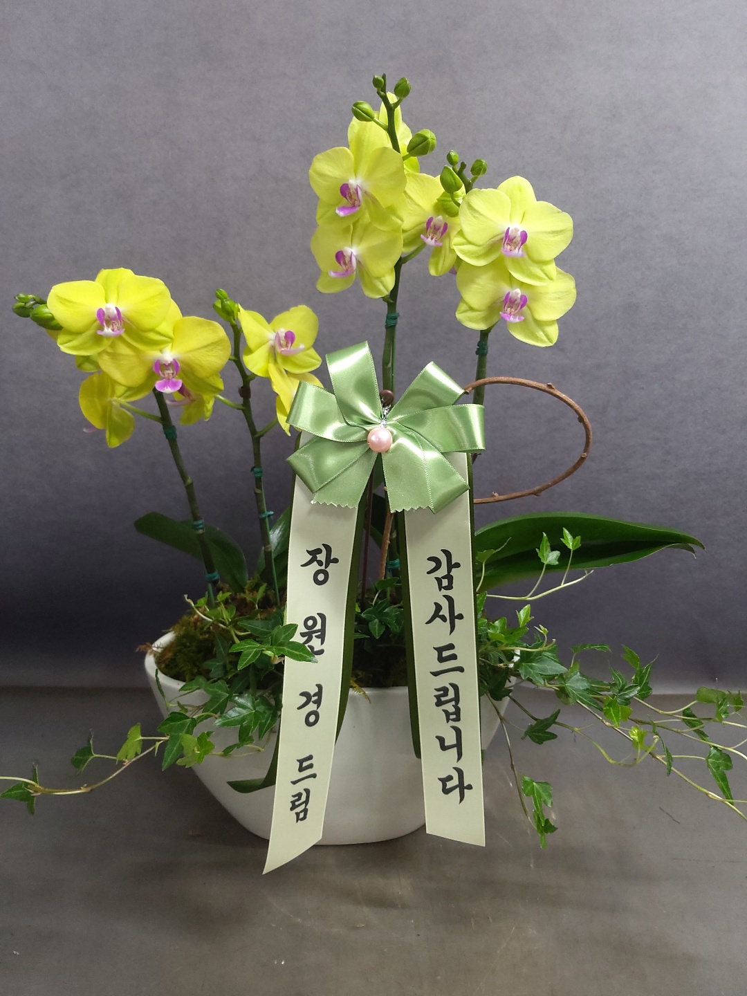 배송사진