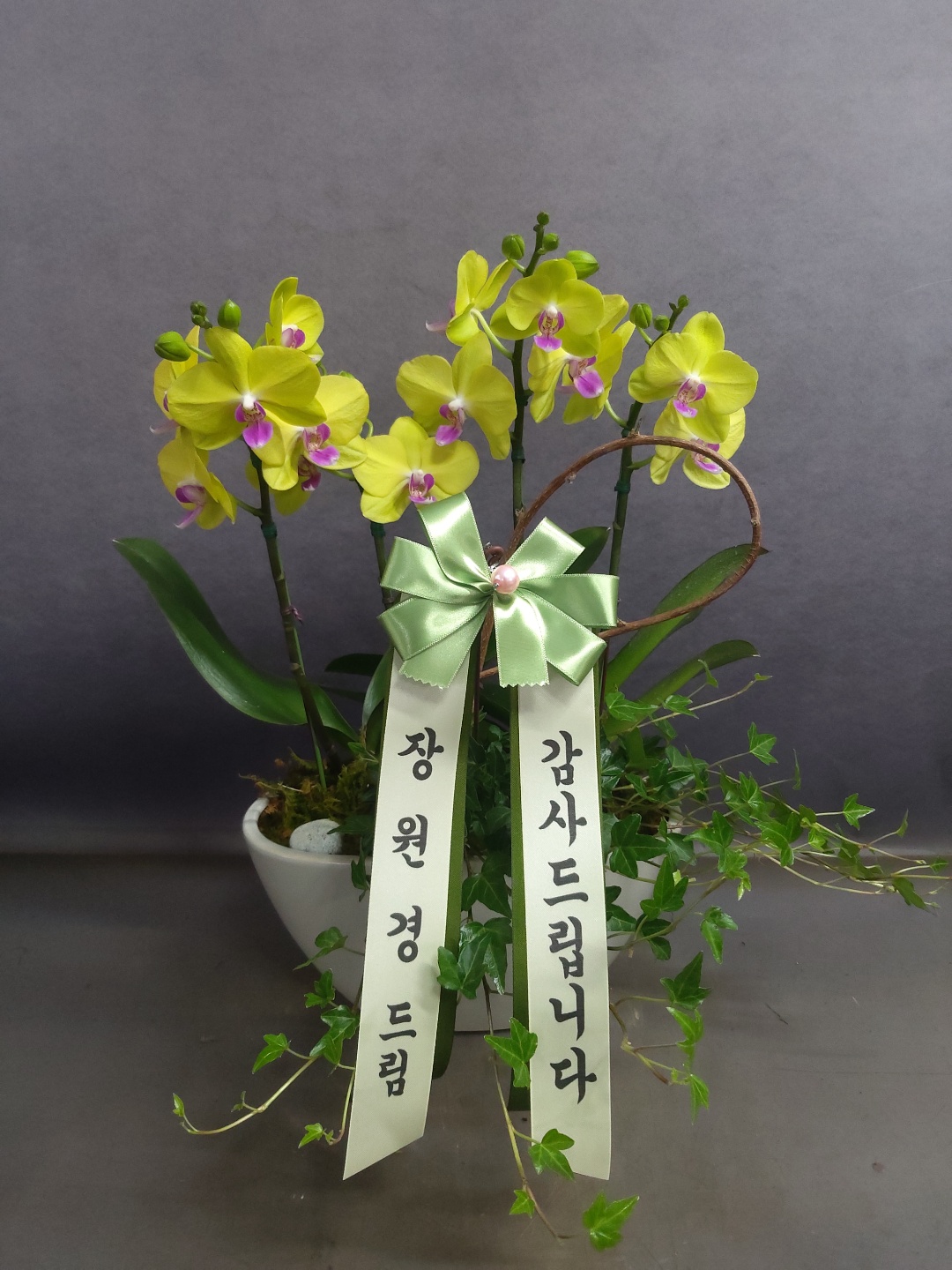 배송사진