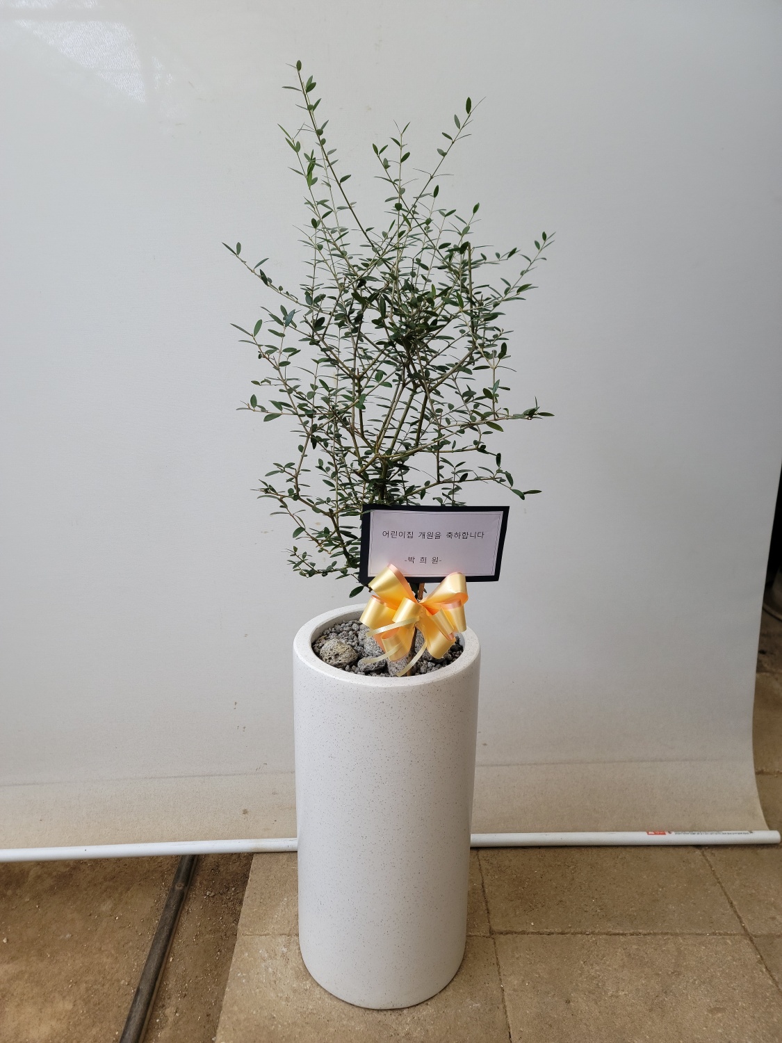 배송사진