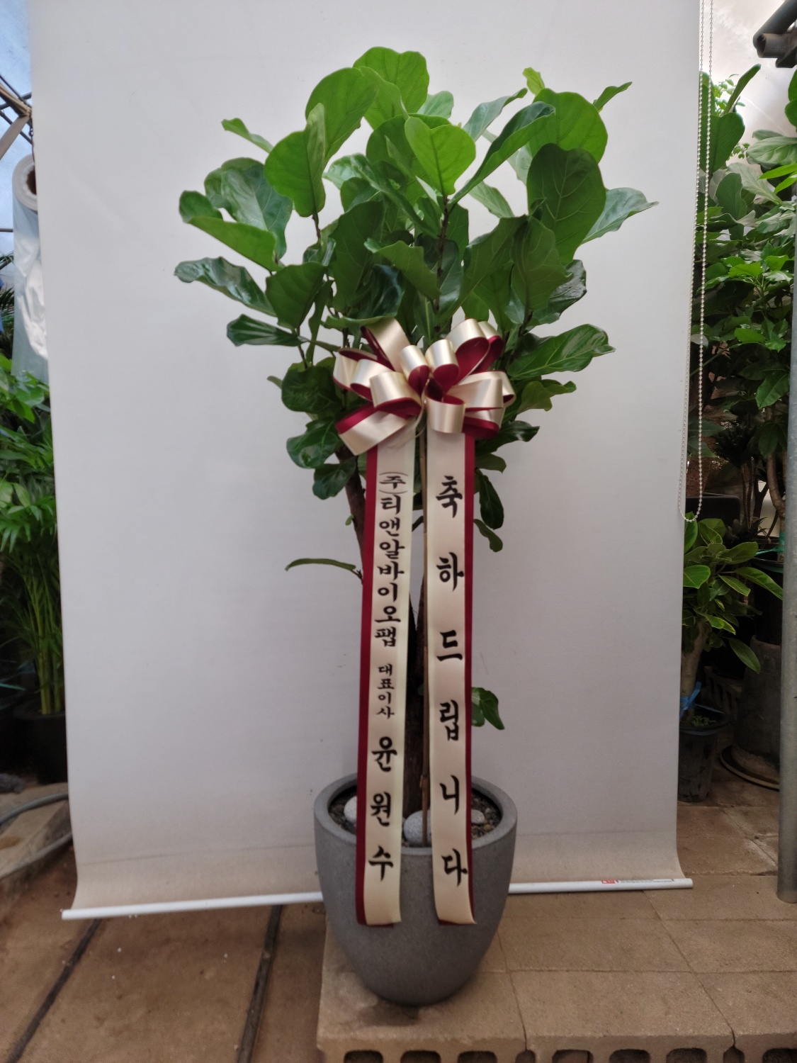 배송사진