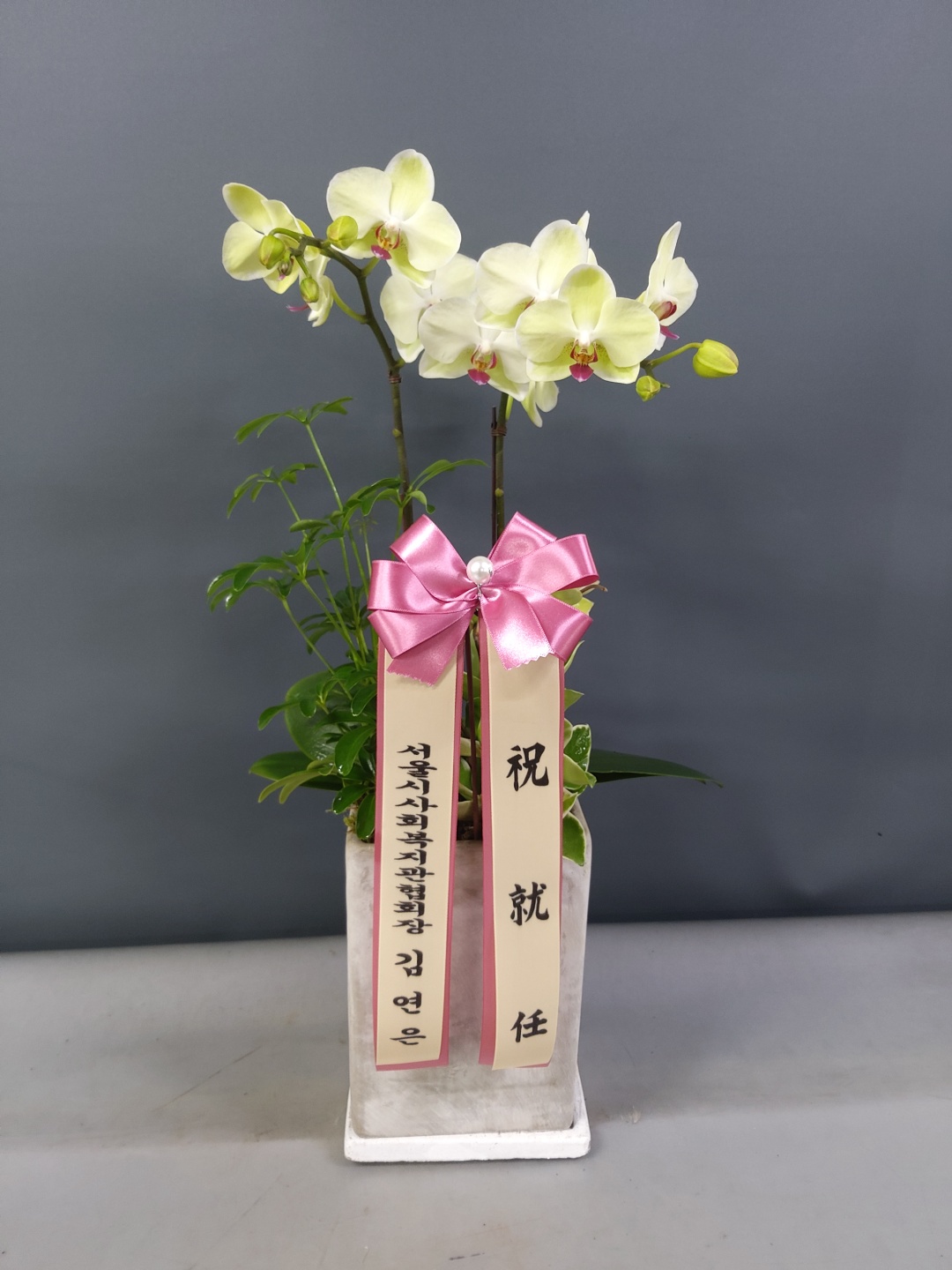 배송사진