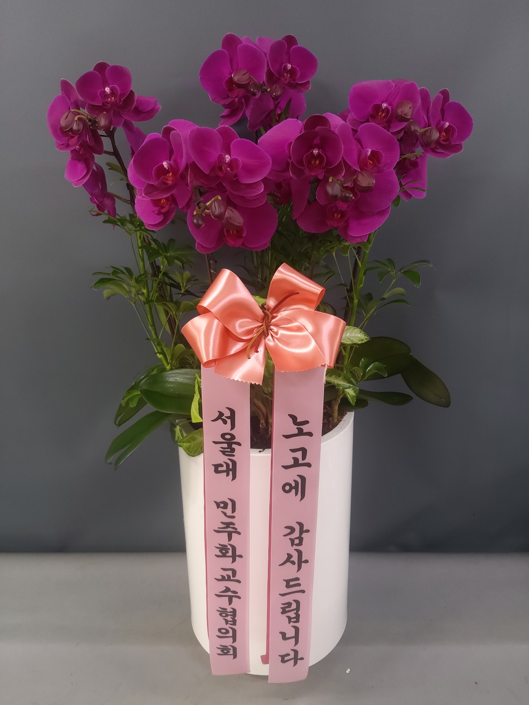 배송사진