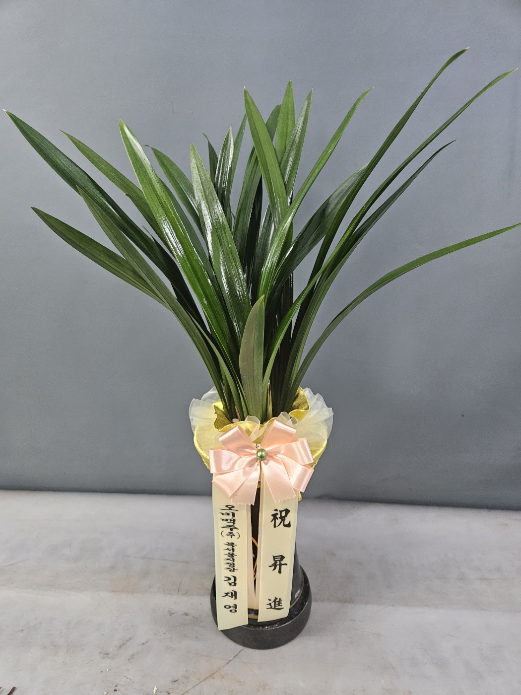 배송사진
