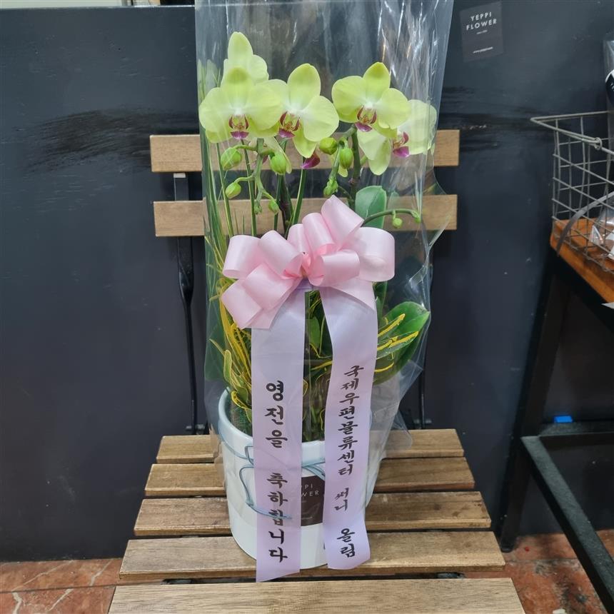 배송사진