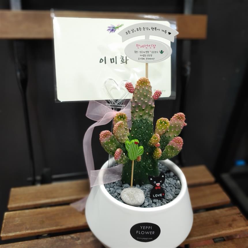 배송사진