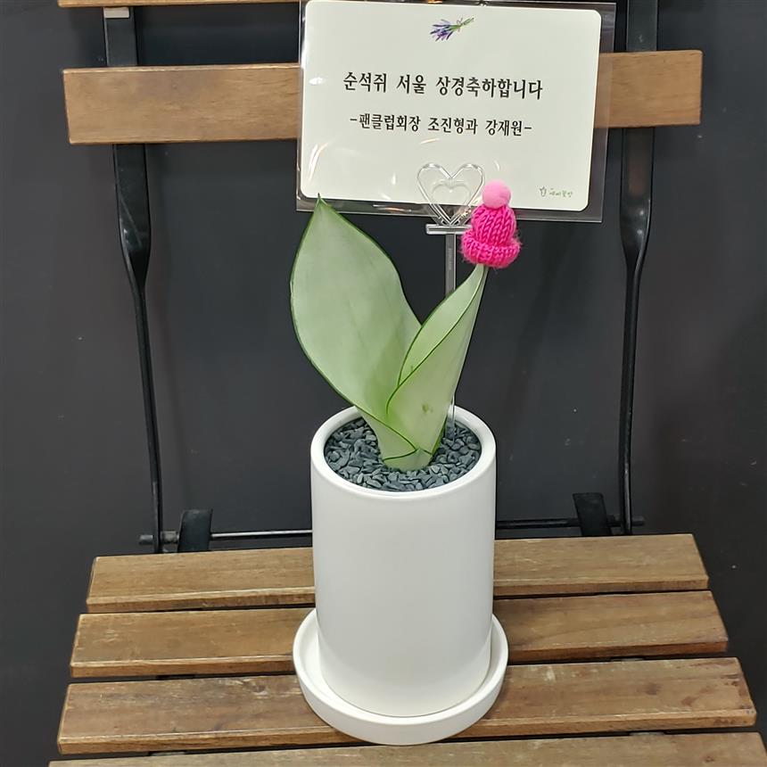 배송사진