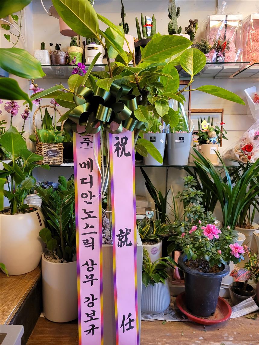 배송사진