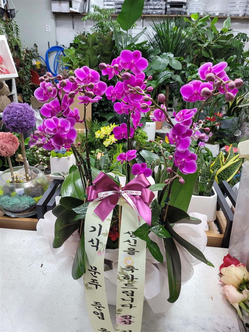 배송사진