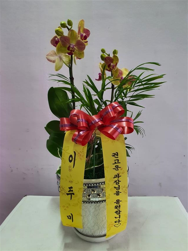 배송사진