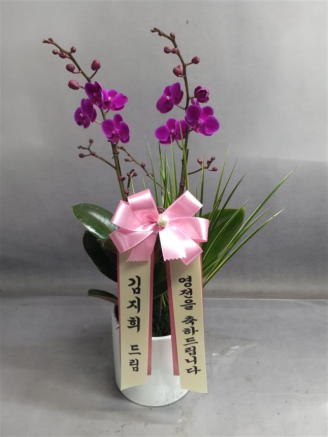 배송사진