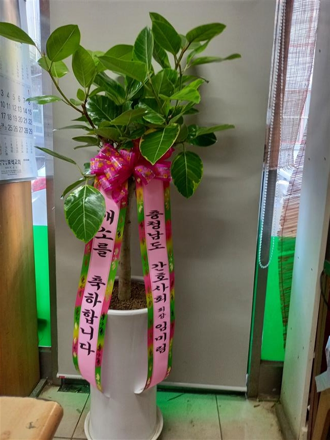 배송사진