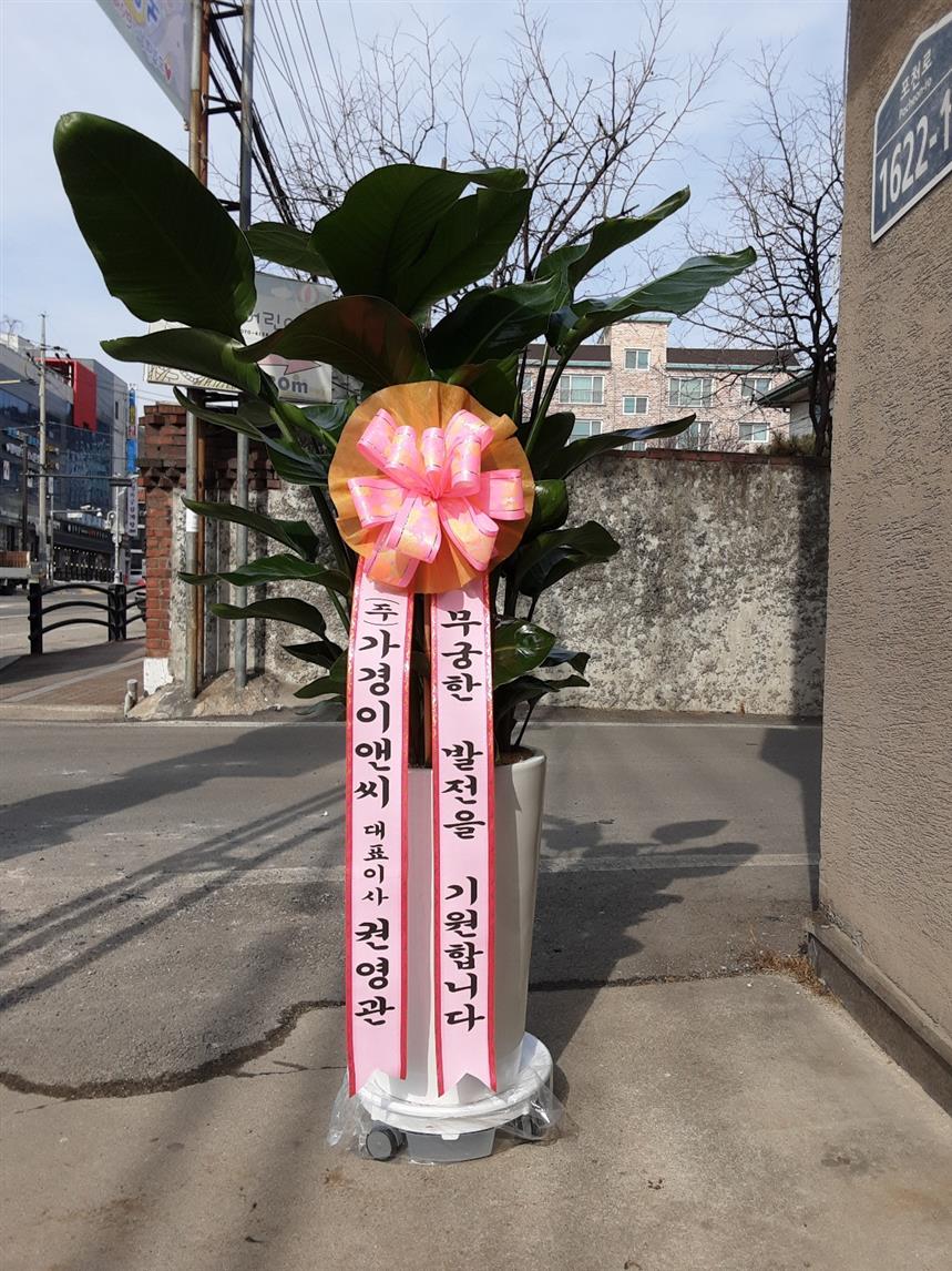 배송사진