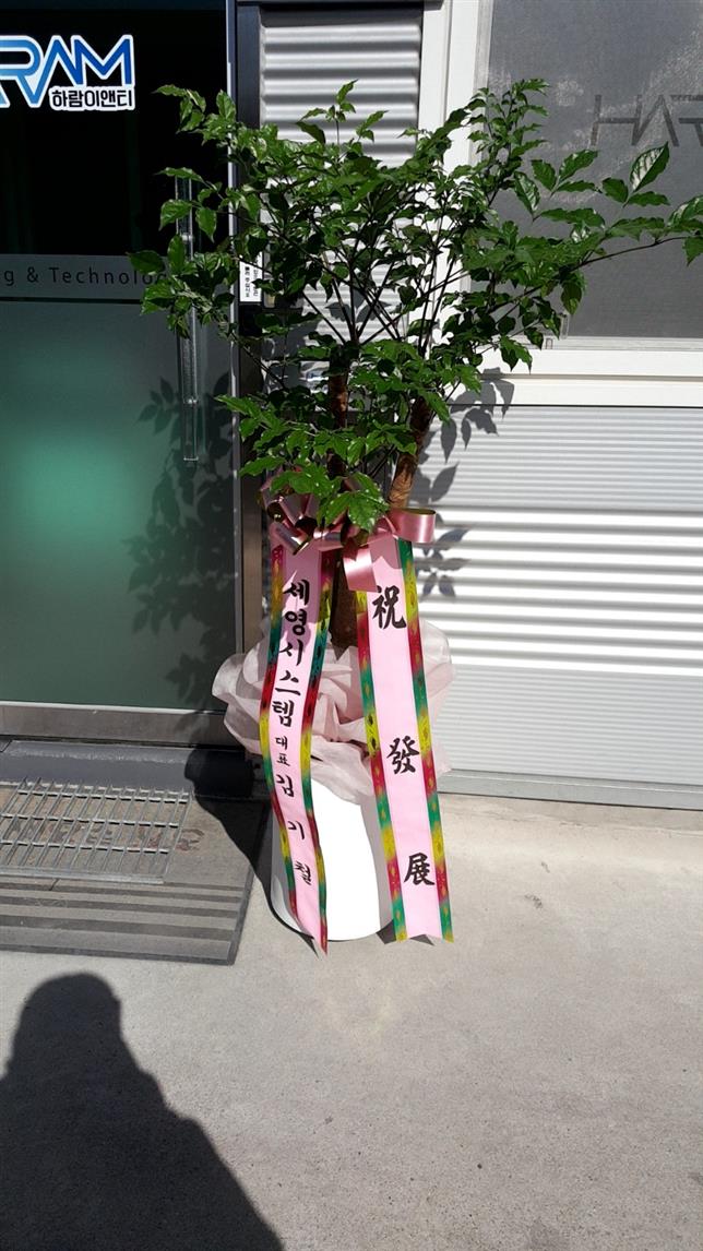 배송사진