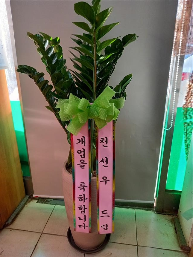 배송사진