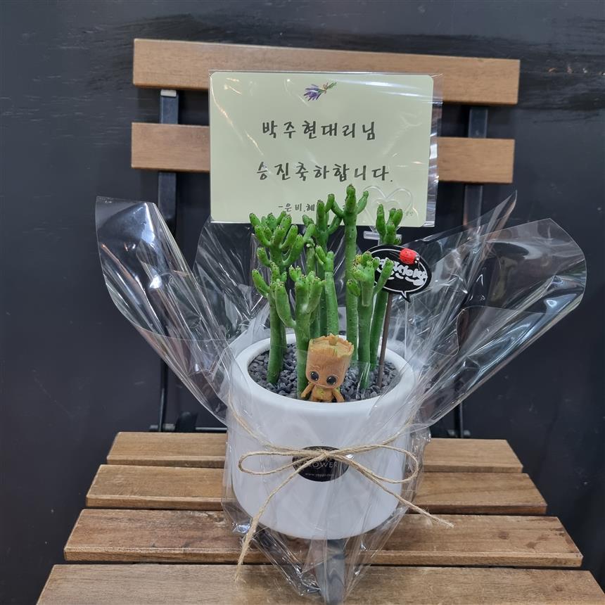 배송사진