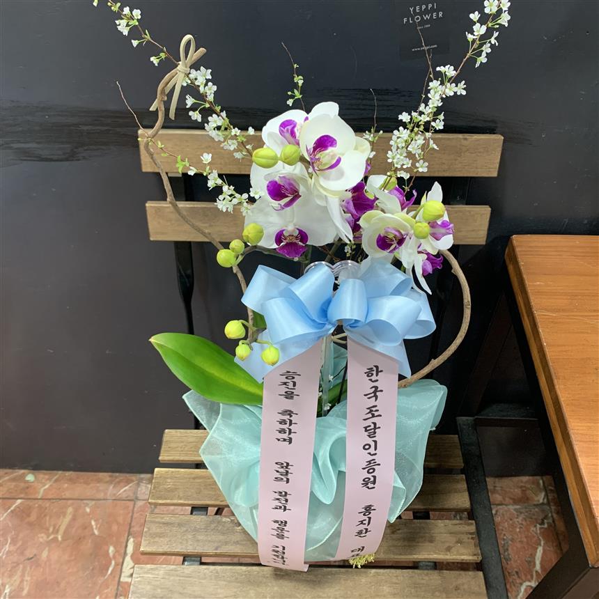 배송사진