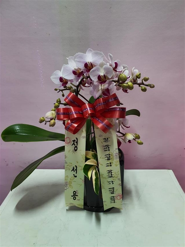 배송사진