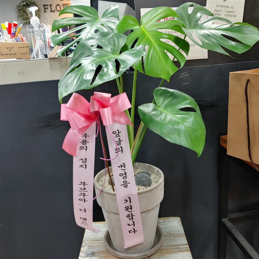 배송사진