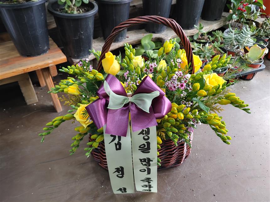 배송사진