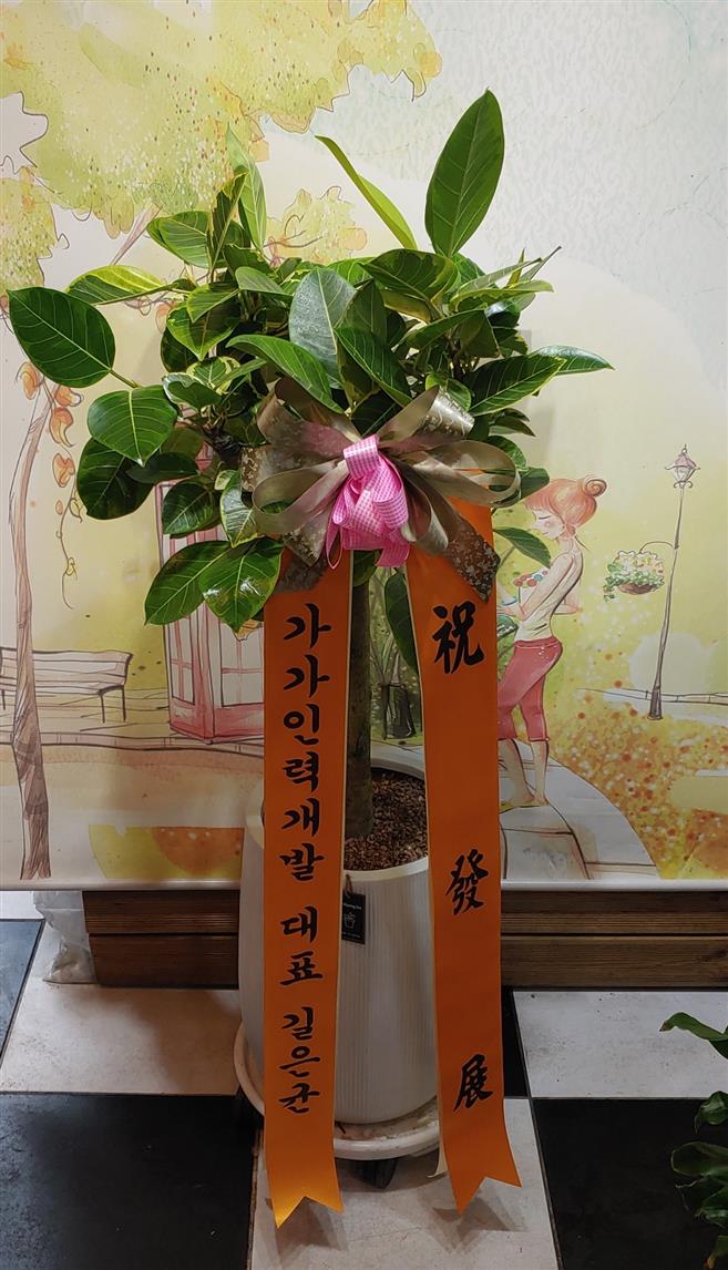배송사진