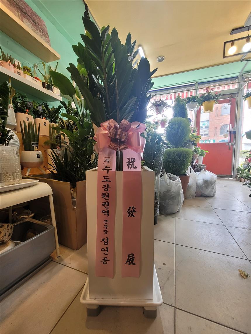 배송사진