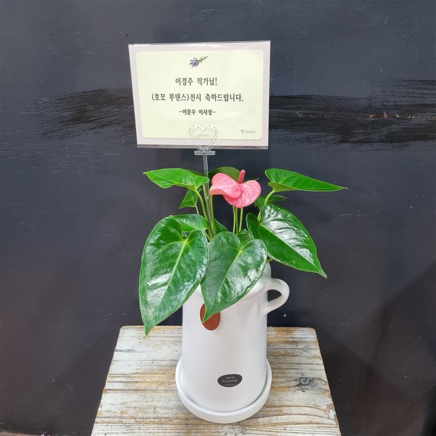 배송사진