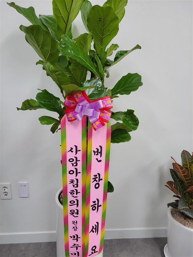 배송사진