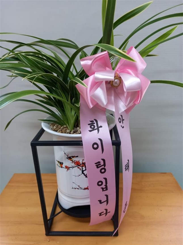 배송사진