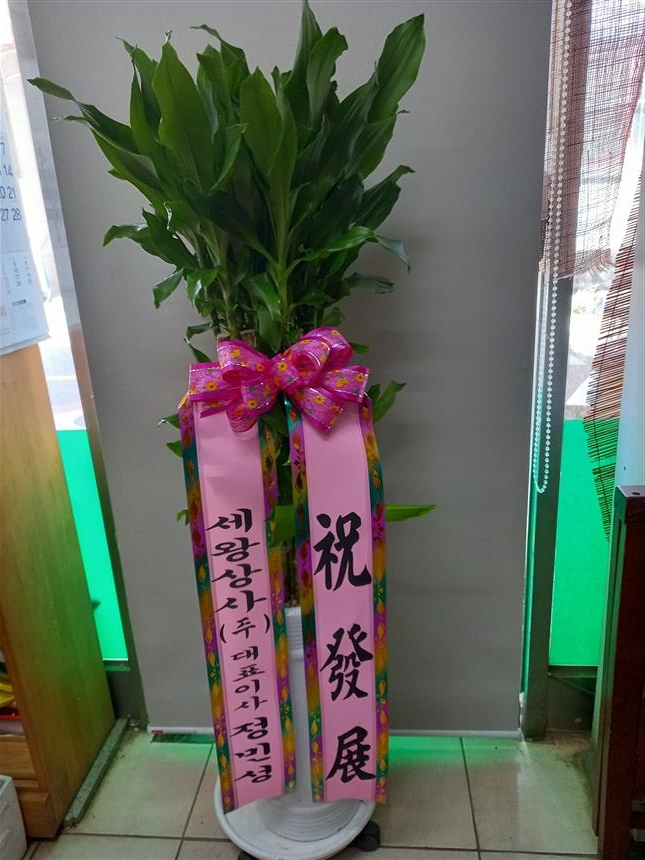 배송사진