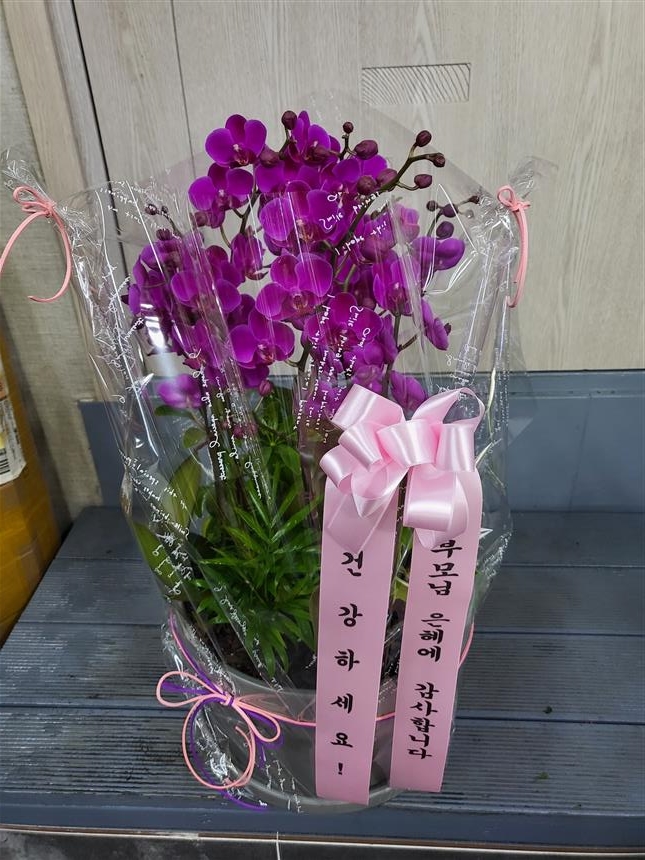배송사진