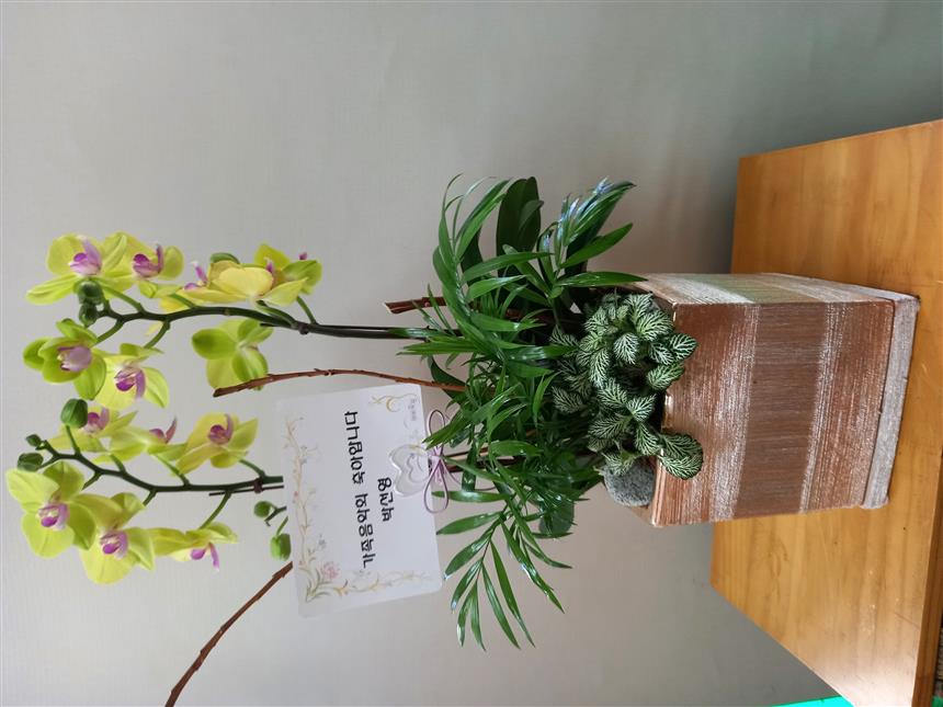 배송사진