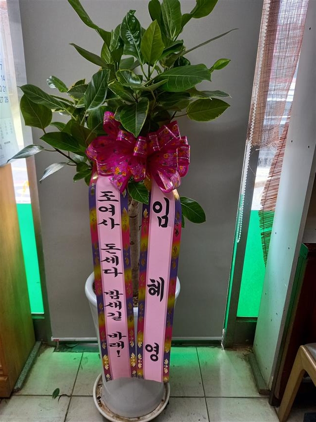 배송사진