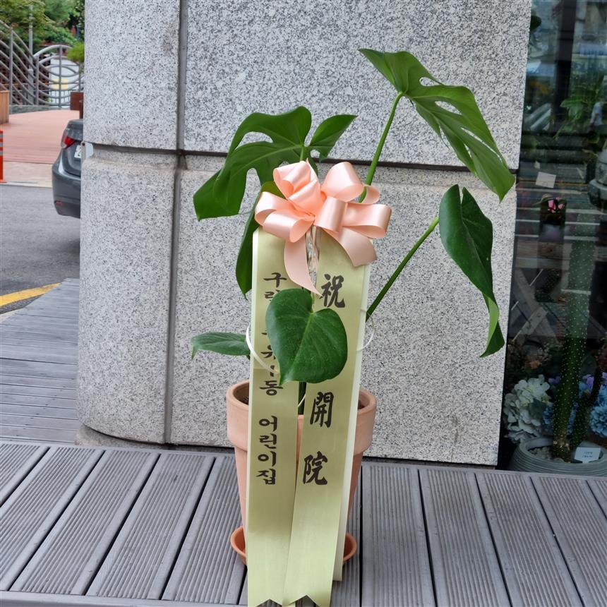 배송사진