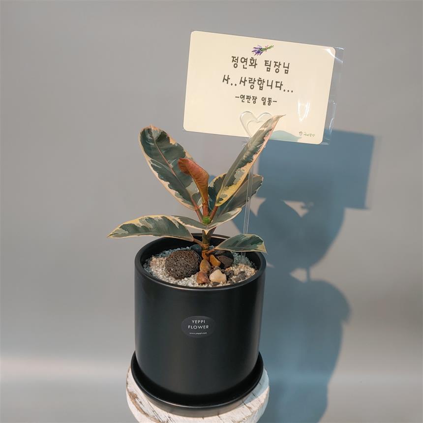 배송사진