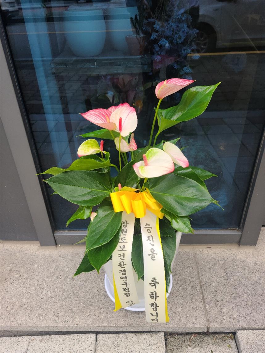 배송사진