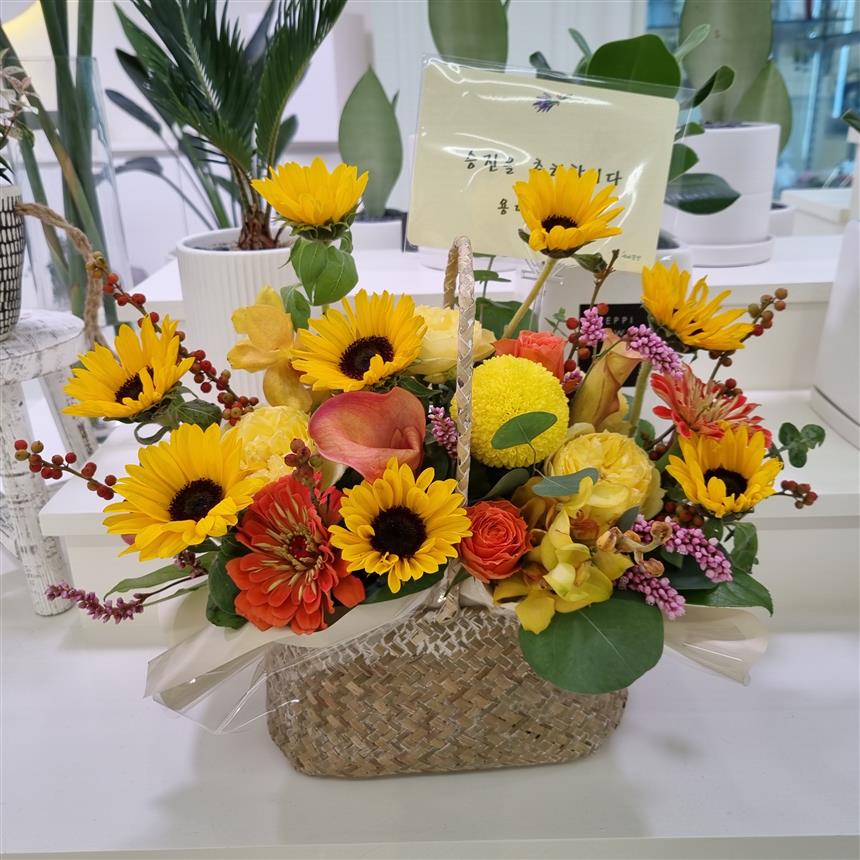 배송사진