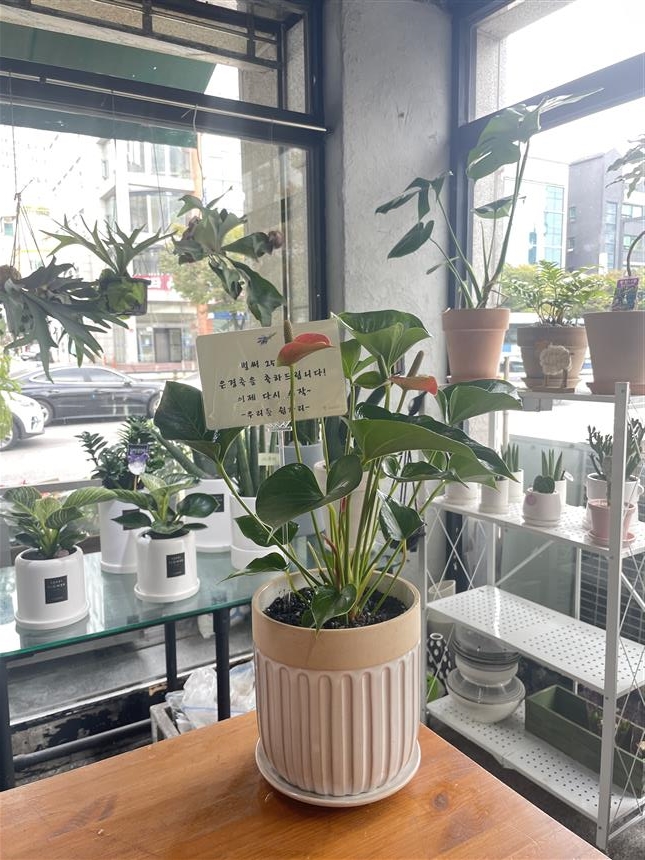 배송사진