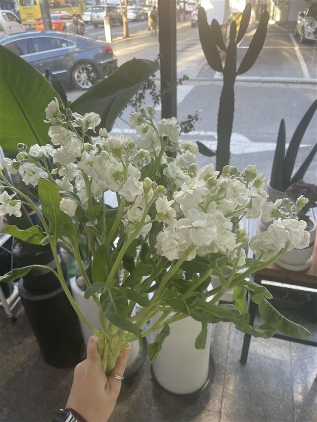 배송사진