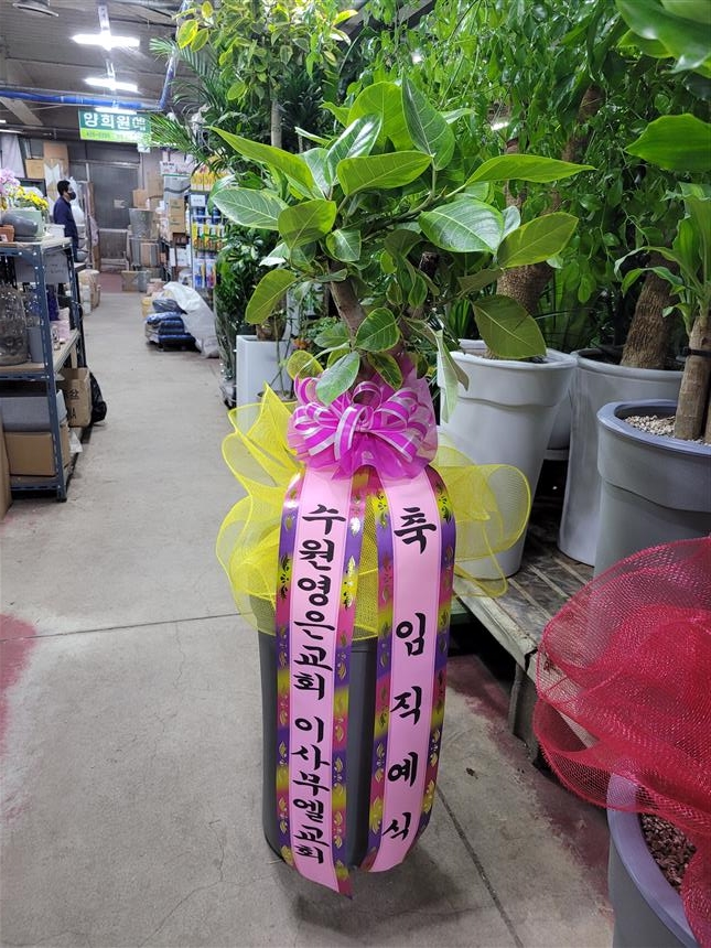 배송사진