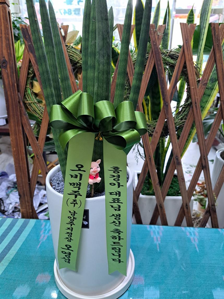 배송사진