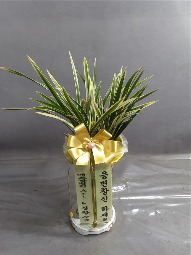 배송사진